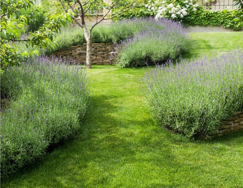 landscaping solutions for all your needs