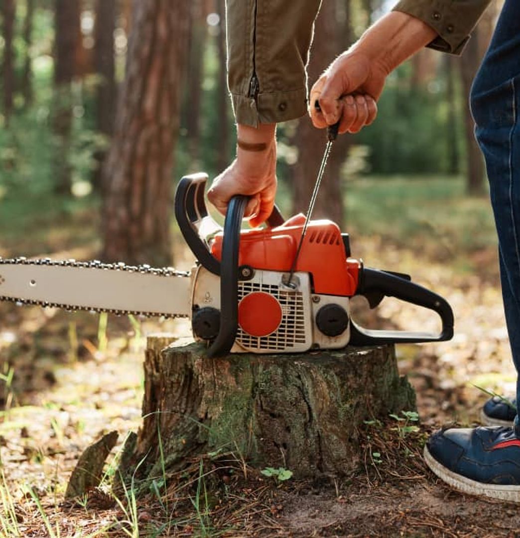 stump grinding